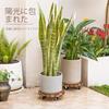 Bamworld Wooden Plant Stand with Casters, Suitable for Indoor and Outdoor Use, Suitable for Living Rooms, Gardens, and Balconies, Set of 2