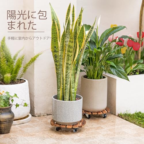Bamworld Wooden Plant Stand with Casters, Suitable for Indoor and Outdoor Use, Suitable for Living Rooms, Gardens, and Balconies, Set of 2