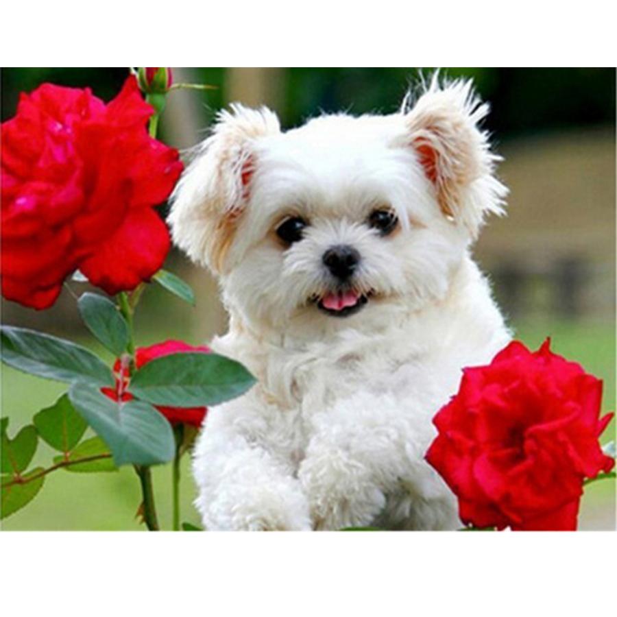 5D DIY Diamond Painting Kit Cute Dog Pictures of Rhinestones Diamond Embroidery Paul Mosaic Animal Home Decor