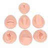 Modello di Simulazione in Silicone per Esercitazione Corporea, Modello in Silicone per Orecchio, Occhio, Naso, Bocca, Lingua e Ombelico per Principianti