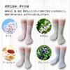 Organic Cotton Socks for Botanical Made in Authentic Natural Natural Shop Bonus Popular Set of 2 Women, Dye, Breathable, Cold-Prone, Japan, Product,