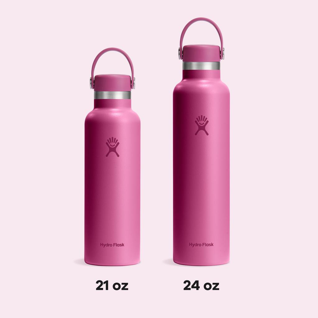 Standard Mouth Stainless Steel Water Bottle, 24oz (709ml), Leaf Design, Insulated (Official Japanese Product)