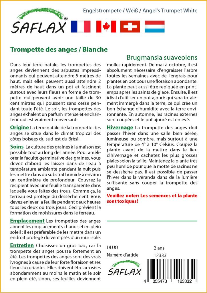 SAFLAX Angel's Trumpet White - 10 Seeds - Brugmansia Suaveolens