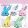 Njs Rabbit Plush Keychain Mini Toy Doll Bag Pendant