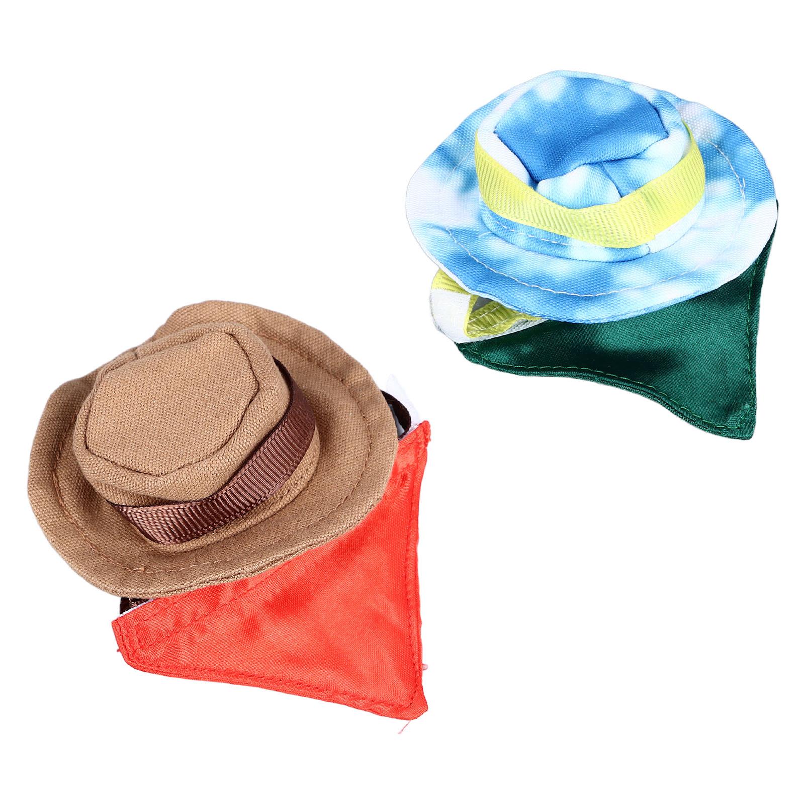 Костюм рептилии на Хэллоуин в виде ковбойской шляпы и банданы с бородатым драконом — фото 10