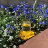 Small-Hole Honeycomb Bee Water Feeder Safe Honeybee Drinking Station  Beekeeping Tool