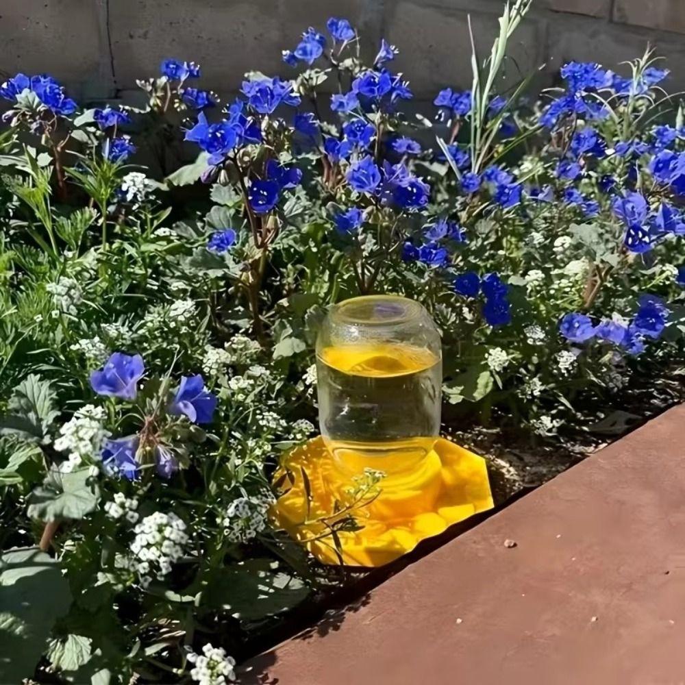 Small-Hole Honeycomb Bee Water Feeder Safe Honeybee Drinking Station  Beekeeping Tool