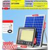 Ultra-Bright Solar Garden Light