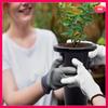 30Pcs Plastic Deep Plant Nursery Pots, Thick Stable Tall Tree Pots, Reusable Tall Seedling Plant Container Pots, Deep