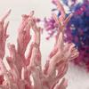 Coralline Artificial Fish Tank Decorations Aquarium Artificial Plastic Plants Coral Ornaments Aquarium Landscape Aquarium