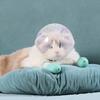 Comfortable Cats Muzzle Protective Space Helmet Prevents Licking Adjusting and Comfortable Head Cover for Pet Grooming