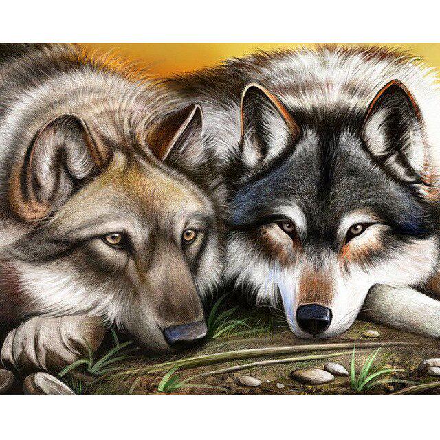 Wolf DIY 5D Diamond Painting Full Round Resin Rhinestone Mosaic Animal Paintings Diamond Embroidery Cross Stitch Home Decor