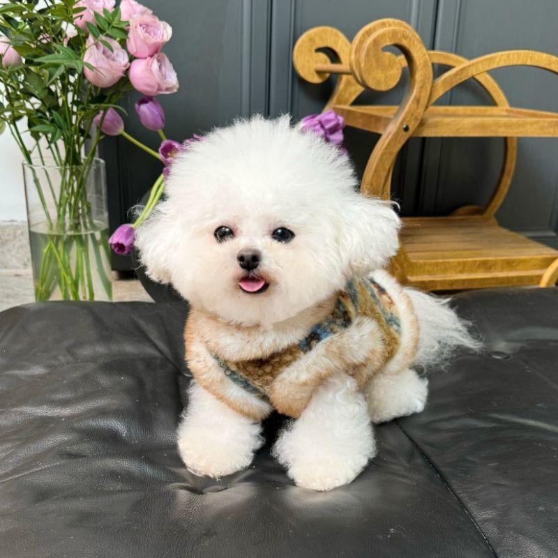 Warm Winter Dog Vest Small Medium Breeds Poodle Teddy Fleece Lined Hoodie Style Pet Coat
