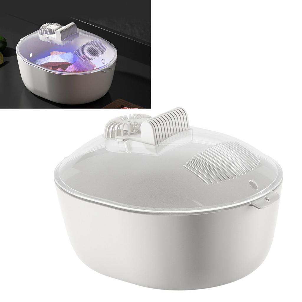 Auftaubox Sicher Gefrorenes Fleisch Huhn Fisch Steak Schnellauftaugerät für Küchenzubehör