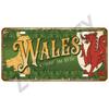 Retro Metal Tin Sign - Country License Plate for Home Bar Garage Man Cave Wall Decor