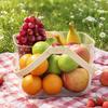 Transparent Picnic Basket with Handle Large Capacity Organizer Durable Waterproof Food Container