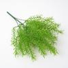 Faux Cochinchinensis Asparagus Plant For Interior Decoration Photography Events