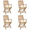 Day and Night - Day and Night Folding Garden Chairs 4 Units and Cushions Solid Acacia Wood
