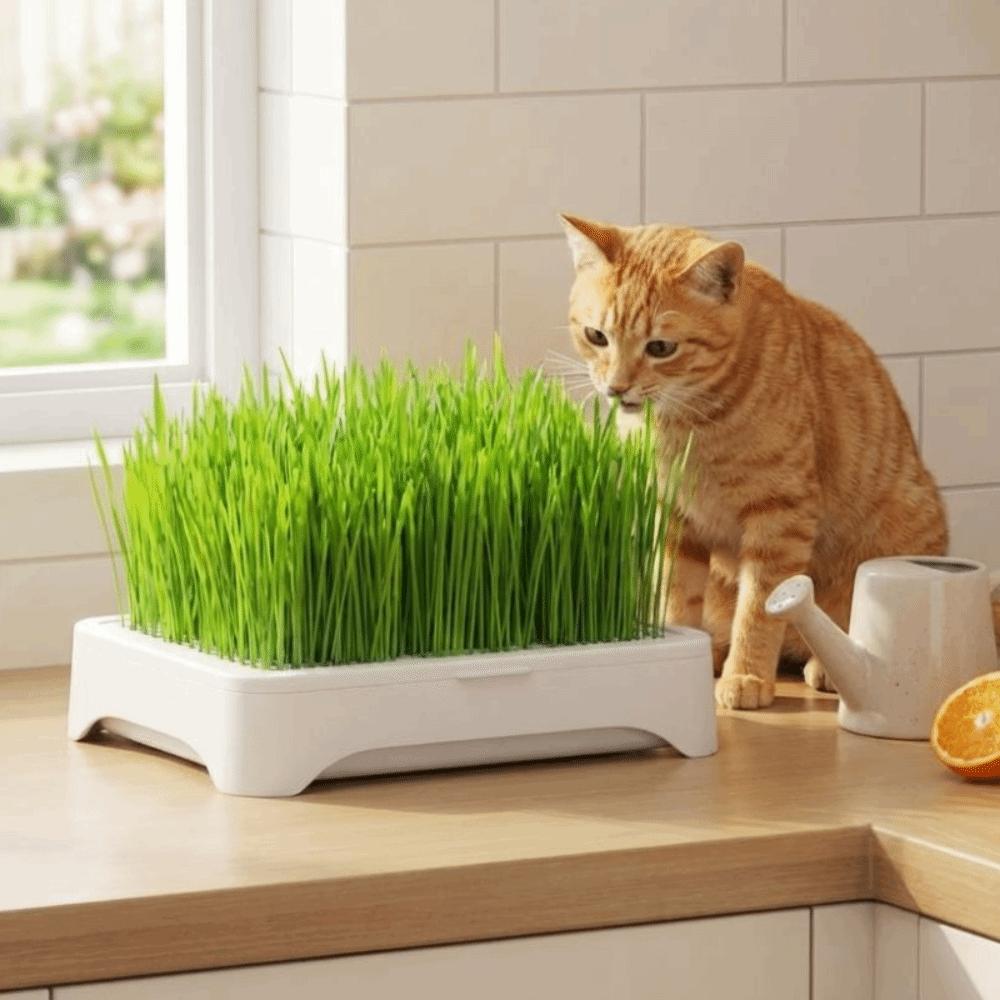 Anti-Pull Out Cat Grass Planter Plastic Wheat Seedling Pot Easy Grow Sprout Tray  Indoor Growing