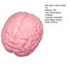 1/2 Stück Riesiges Simulations-Gehirn Knetspielzeug Stressabbau Rosa Gehirn Sensorisches Spielzeug Dekompression Langsam aufsteigend Realistisches Gehirn Fidget-Spielzeug