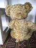 [USED] Vintage Teddy Bear