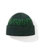 Bieseulaebis Logo Pattern Beanie Green