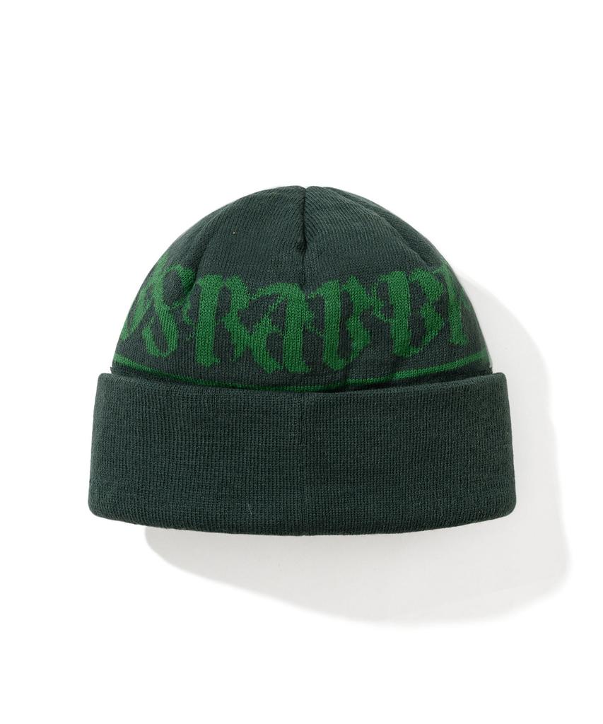 Bieseulaebis Logo Pattern Beanie Green
