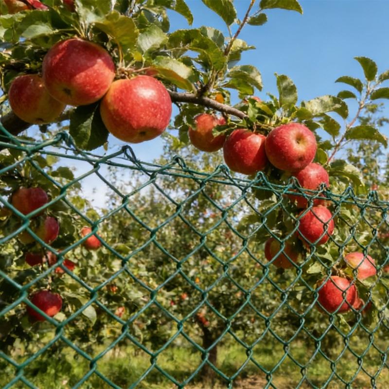 Lightweight Green Coated Galvanized Wire Mesh Flexible Cuttable for Easy DIY Plant Trellis & Vegetable Garden Protection