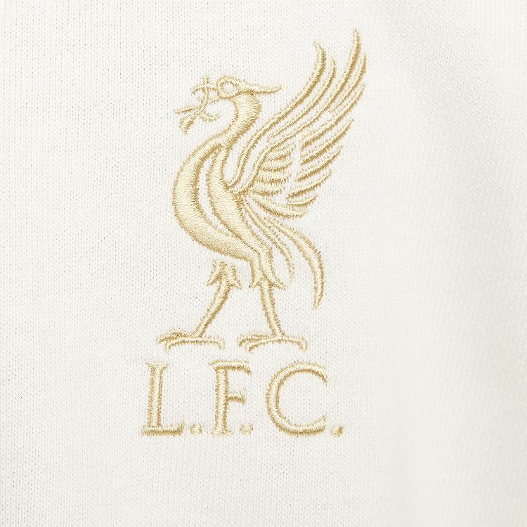 Nike Pánská mikina s kapucí na zip s výšivkou loga, ležérní s dlouhým rukávem, světle minerálně hnědá FN3030-104