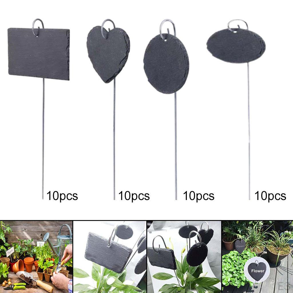 Labels 10Pcs Signs Garden Markers Slate for