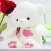 Large Teddy Plush Toy Cuddle Bear Ribbon Love Embroidery Cute Soft Sleep Doll Child Gift Christmas Festival Birthday Gift