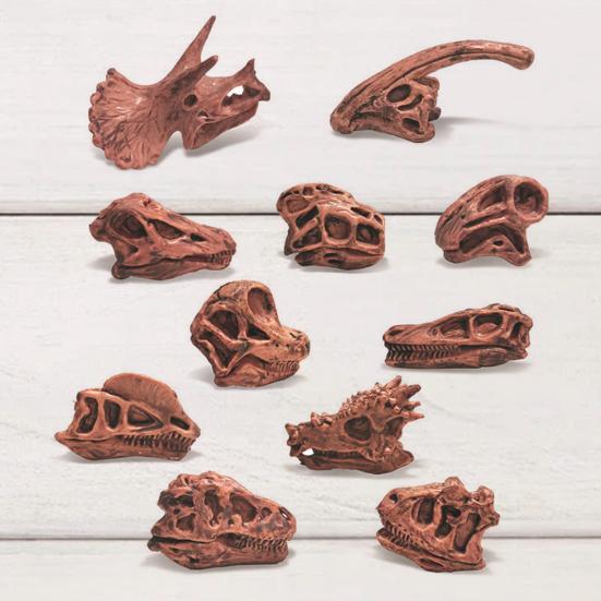 11Pcs/Set Dinosaur Fossil Model High Simulation Hand-painted Vivid Carnotaurus Dinosaur Skull Fossil Figurine for Kids