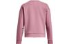 Under Armour Sweatshirts Women's Pink Crew Neck Moderate Regular 1379835-697