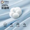 Yingbolun Boys' Pure Cotton Pajama Set - Spring/Summer Thin Air Conditioning Clothes