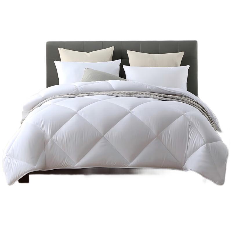 

Mengjie Cloud-Feel Antibacterial All-Season Duvet 200x230cm