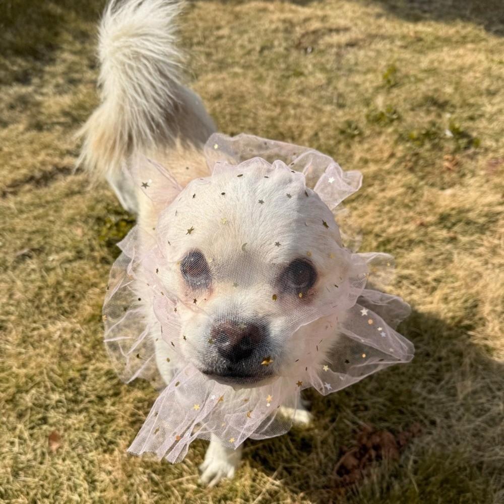 Breathable Dog Anti-Eating Veil Comfort Adjustable Pet Dog Mouth Cover Elastic Polyester Anti Licking Headband Behavior Control