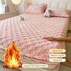2026 Autumn/Winter Tafu Velvet Bed Sheet Warm and Soft Bed Sheet Furry Mattress Cover Solid Color Thickened Mattress Protective Cover