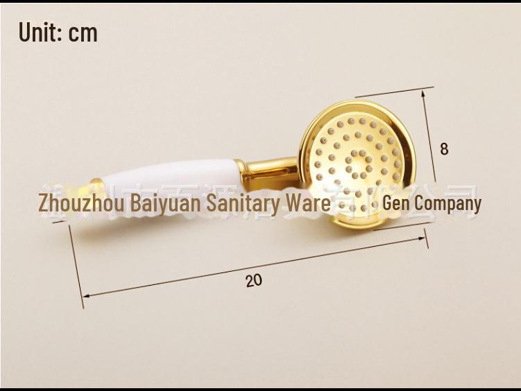 Rose Gold Stainless Steel European-Style Handheld Shower Head with Antique Black Finish
