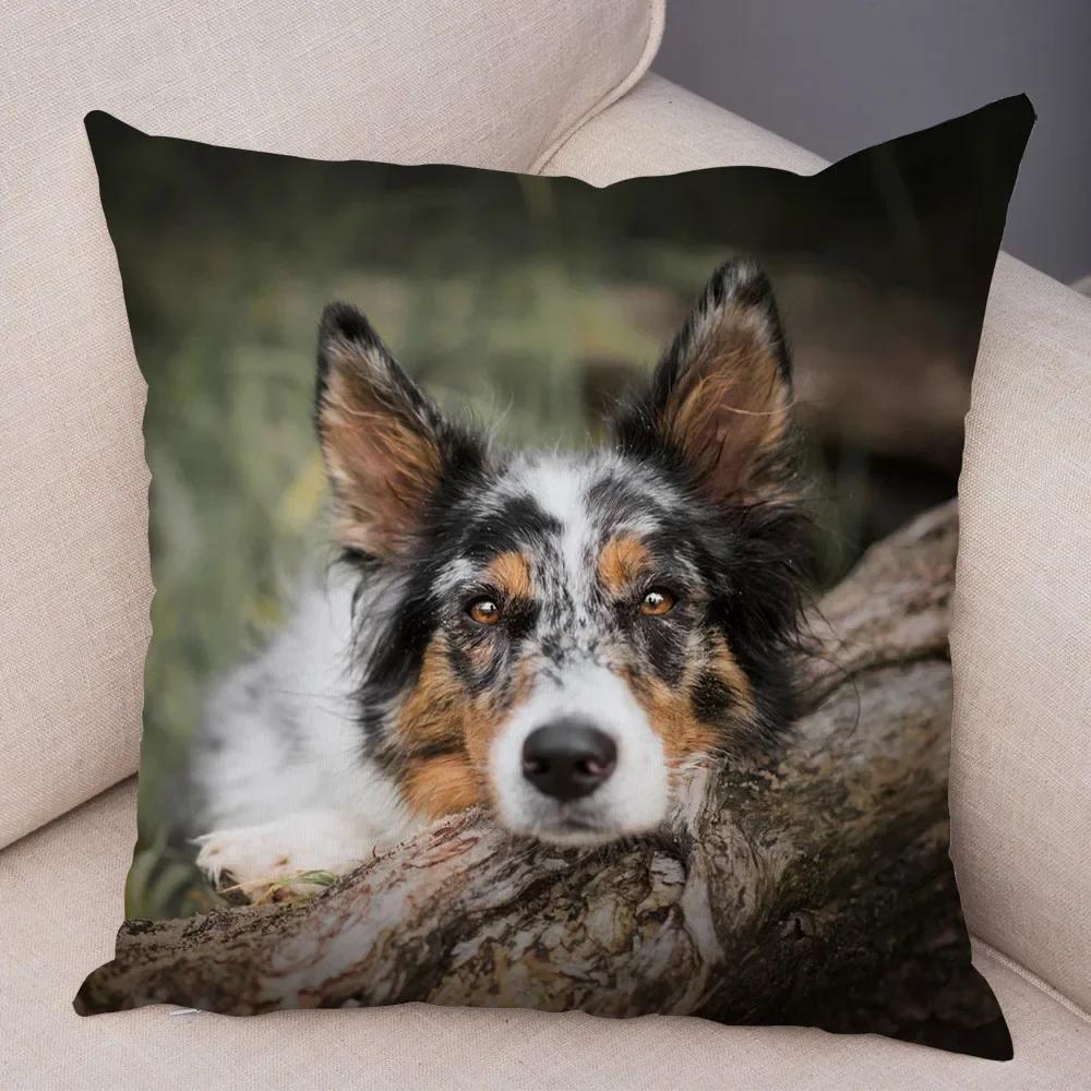 Cute Pet Animal  Cushion Cover Scotland Border Collie Pillowcase for Sofa Car Decor Dog Printed Soft Plush Pillow Case