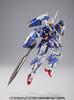 METAL BUILD Gundam Avalanche Exia Standard Edition Web (Tamashii Exclusive)