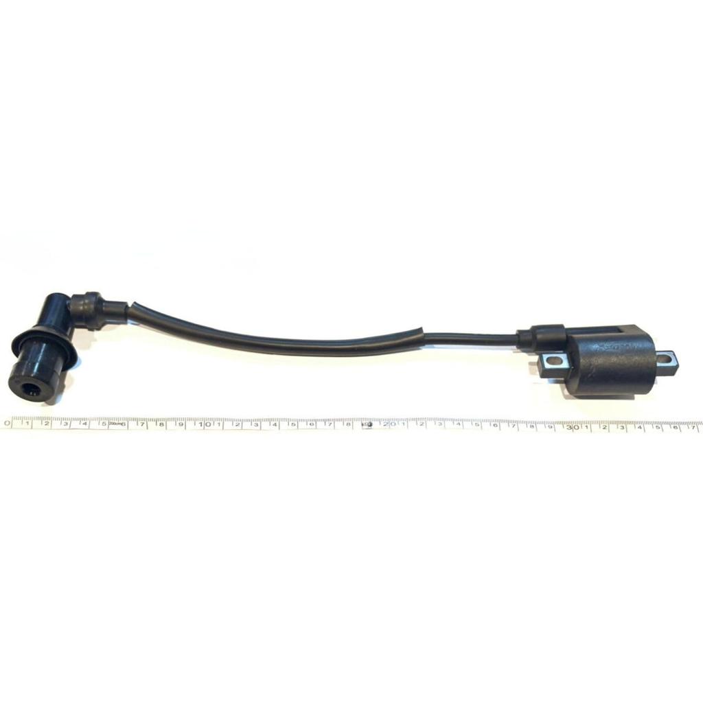 [Deepa Ribusu] TW200 Ignition Coil Serrow 225 TW225 TZR50 TZR125