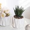 White Ceramic Rhombus Succulent Pot - Modern Retro Mini Vase for Small Plants