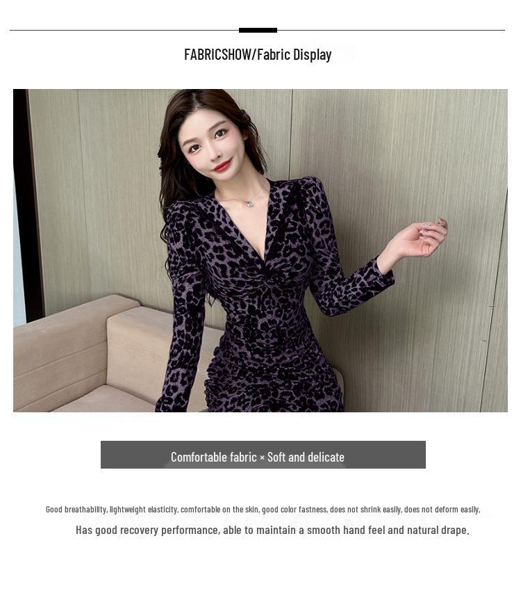 Women's Spring Leopard Print V-neck Mesh Bodycon Dress