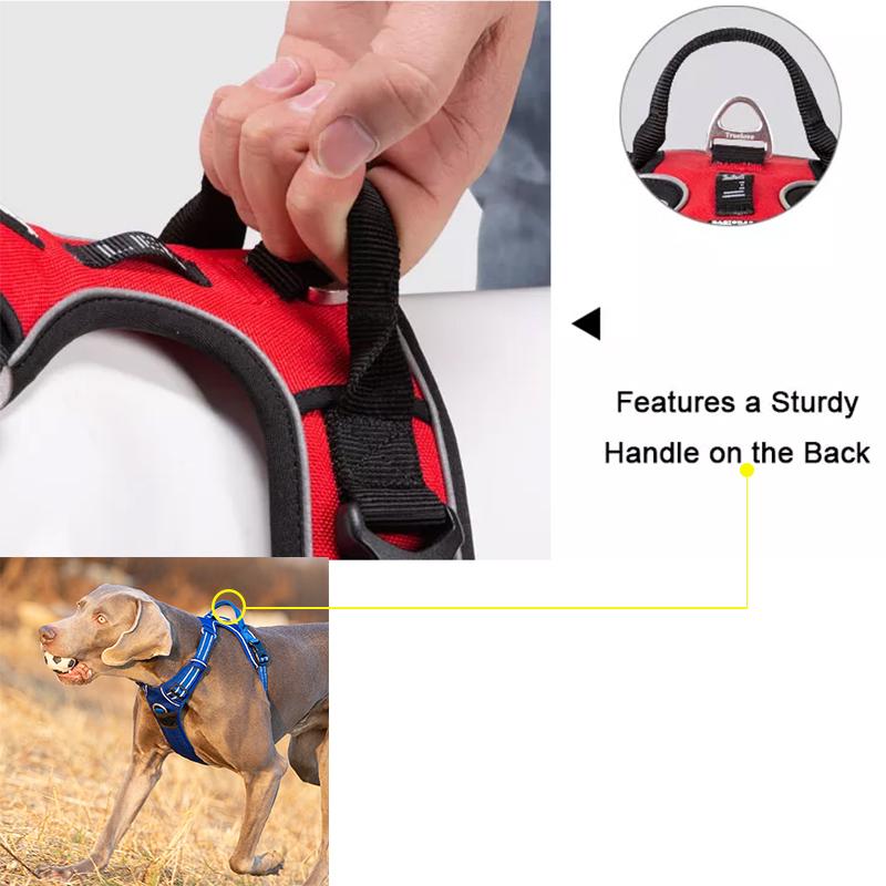 Winhyepet Chaleco para Mascotas Reflectante Luz Acolchado de Nailon Arnés para Perro de Entrenamiento Ropa Protectora Para Perro Pequeño Mediano Grande Arnés