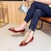 Pointed thick heel shallow mouth single shoes women's 2025 new spring and autumn suede temperament versatile commuting not tired feet low heel women