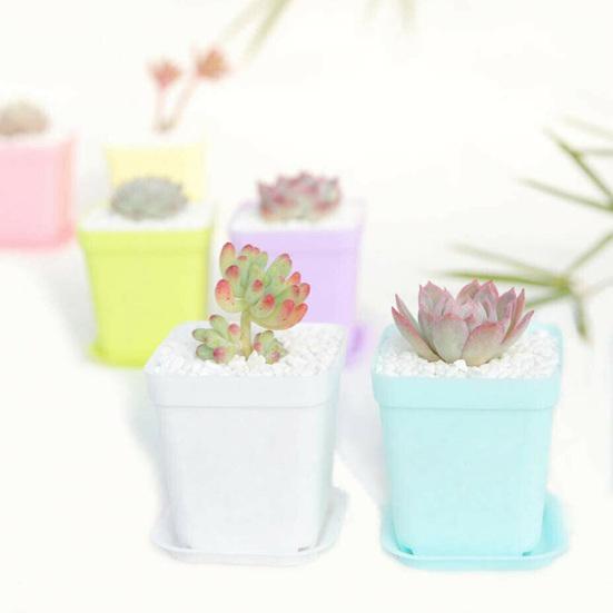 Yousheng 24 Stück mehrfarbige Mini-Grünpflanzen-Blumentöpfe aus Kunststoff mit Tablett für Garten und Heimdekoration
