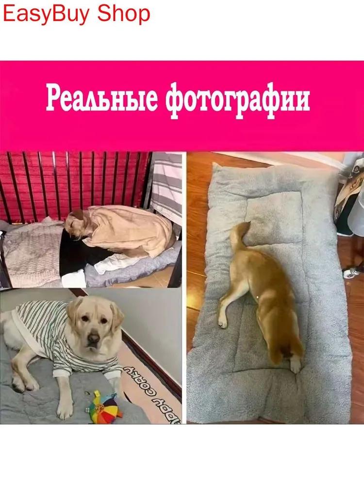Sunbed for dogs of medium and large breeds 120x60