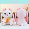 Plush Bunny Toy With Carrot Design For Kids And Giftgiving