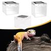 Reptile Terrarium Container Ventilation Clear Breeding Box Habitat for Jumping Lizards Scorpions Iguana Bearded Dragon