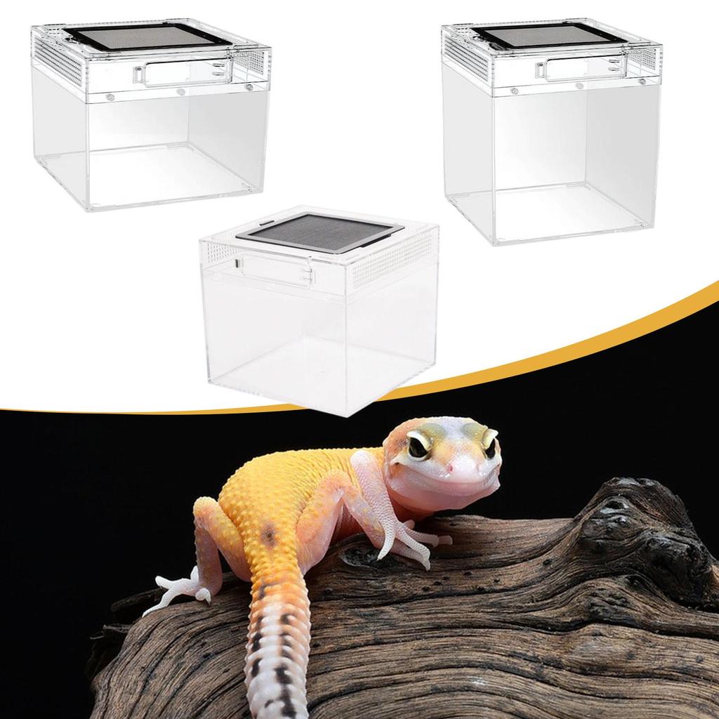 Reptile Terrarium Container Ventilation Clear Breeding Box Habitat for Jumping Lizards Scorpions Iguana Bearded Dragon